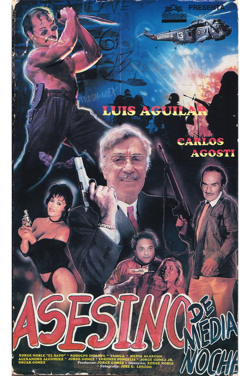 Movie poster for Midnight Killer (1993)