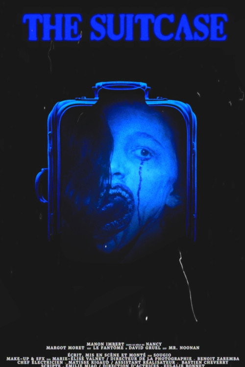 Movie poster for The Suitcase (2024)