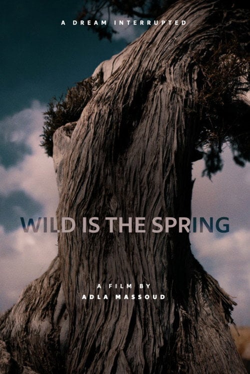 Movie poster for Wild is the Spring (2021)