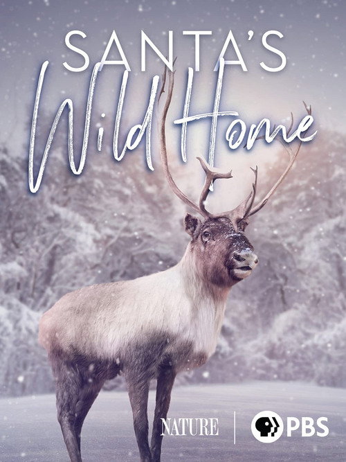 Movie poster for Santa's Wild Home (2020)