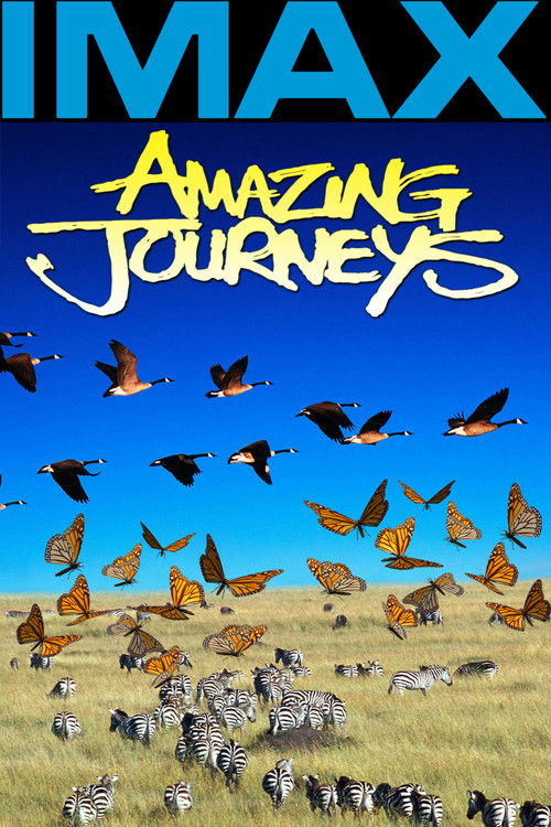 Movie poster for Amazing Journeys (1999)