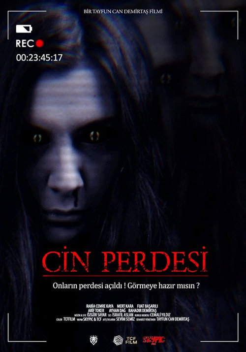 Movie poster for Cin Perdesi (2022)