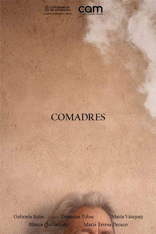 COMADRES poster