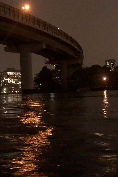 Movie poster for Night Cruise (2019)