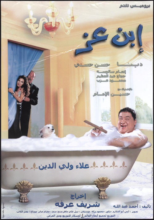 Movie poster for Son of Wealth (2001)