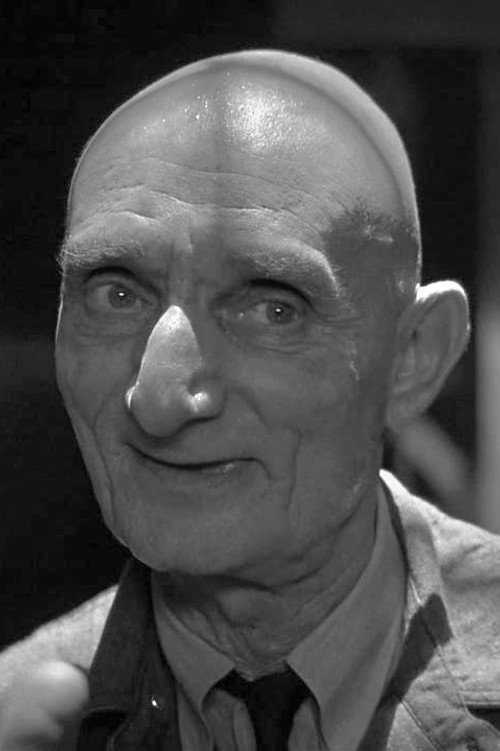 Photo of Harry Bugin, Acting