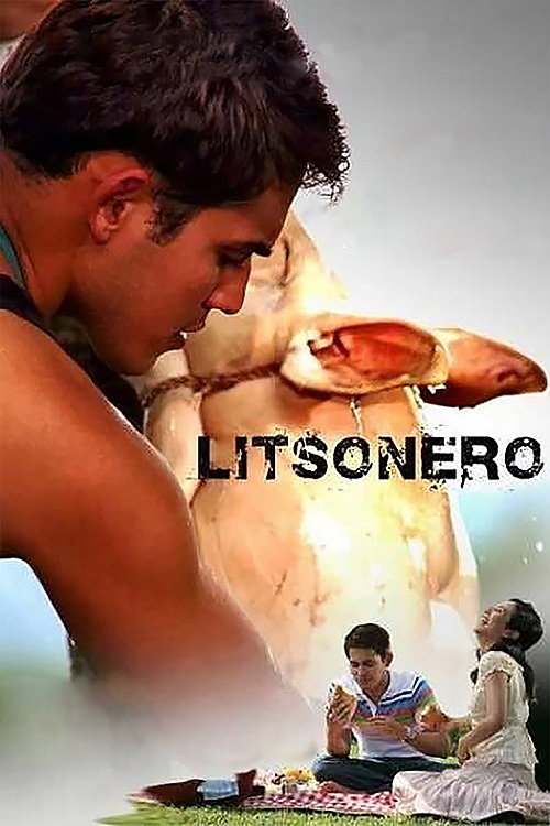 Movie poster for Litsonero (2009)