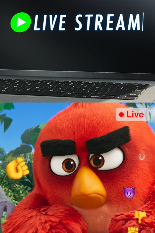 Movie poster for Angry Birds: Live Stream (2019)