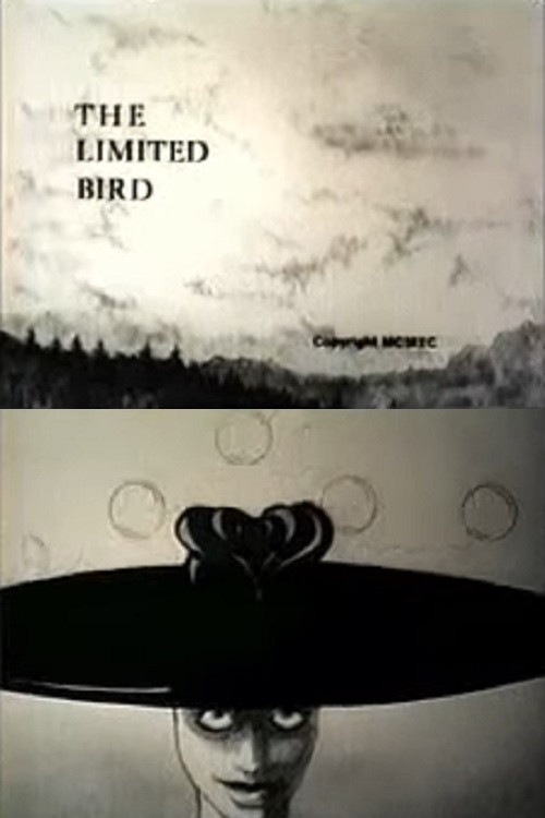Movie poster for The Limited Bird (1989)