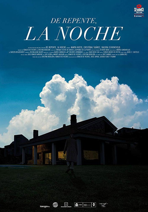 Movie poster for Suddenly, the Night (2018)