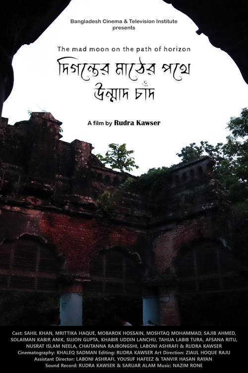 Movie poster for The mad moon on the path of horizon (2019)