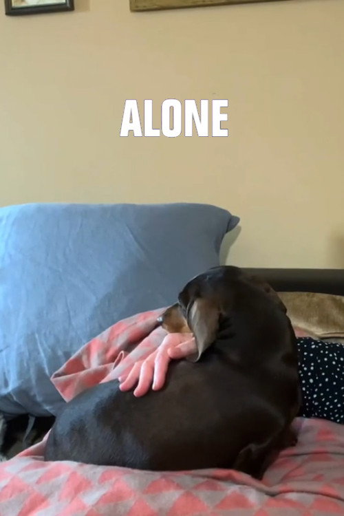 Movie poster for Alone (2020)