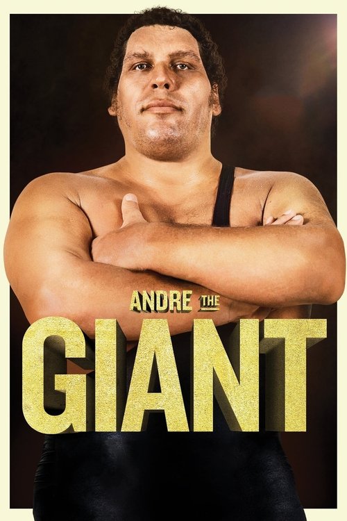 Movie poster for Andre the Giant (2018)