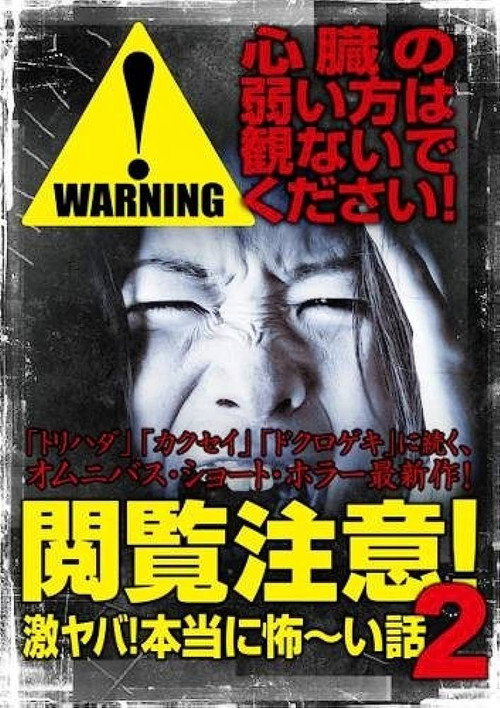 Movie poster for Warning! NSFW Scary Stories 2 (2014)