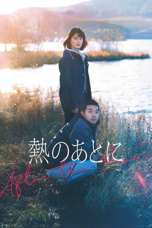 Movie poster for After the Fever (2024)