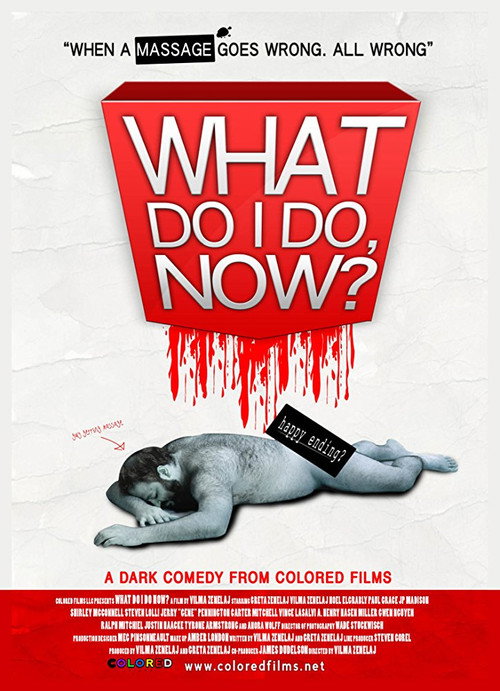 Movie poster for What Do I Do Now? (2009)