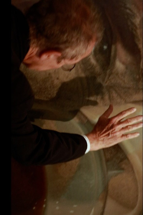 Movie poster for Four Paintings by Edward Povey: Unfinished Tea (2026)