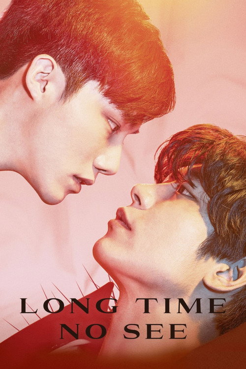 Movie poster for Long Time No See (2017)