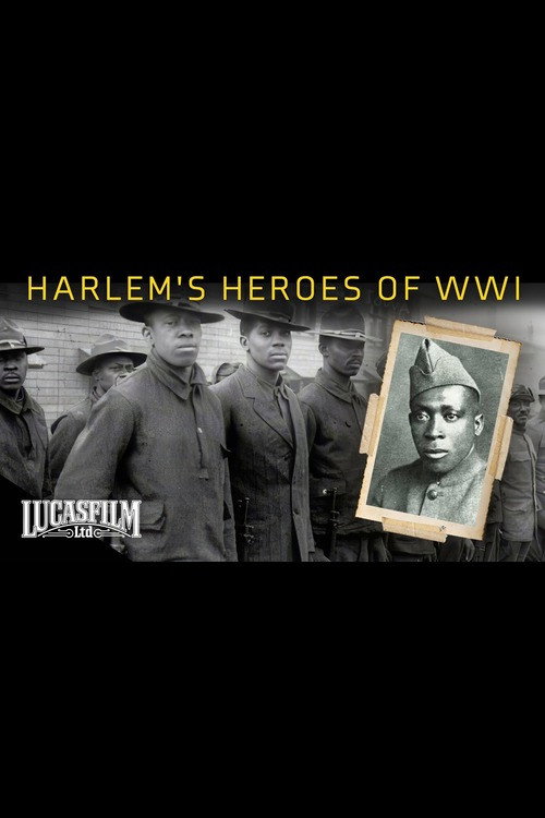 Movie poster for Hellfighters: Harlem’s Heroes of World War One (2007)