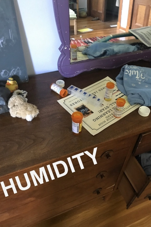 Movie poster for Humidity (2020)