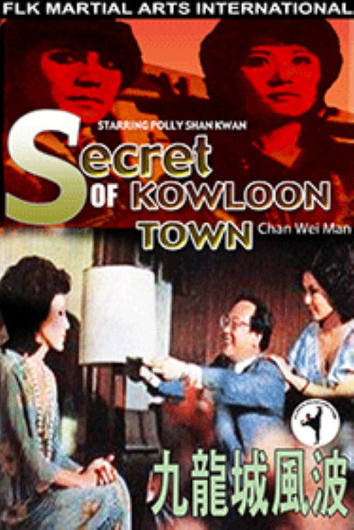 Movie poster for Secret of Kowloon Town (1976)