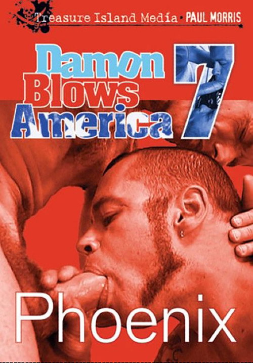 Movie poster for Damon Blows America 7: Phoenix (2006)