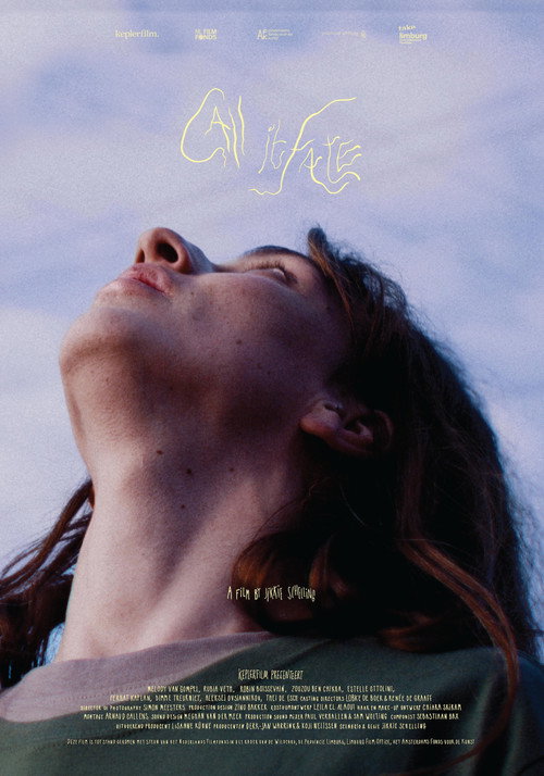 Movie poster for Call it Fate (2025)