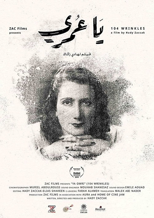 Movie poster for 104 Wrinkles (2017)
