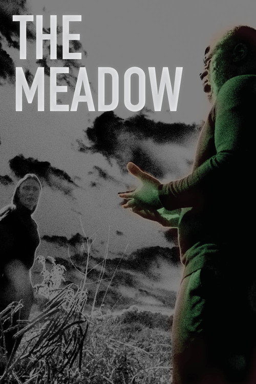 Movie poster for The Meadow (2022)