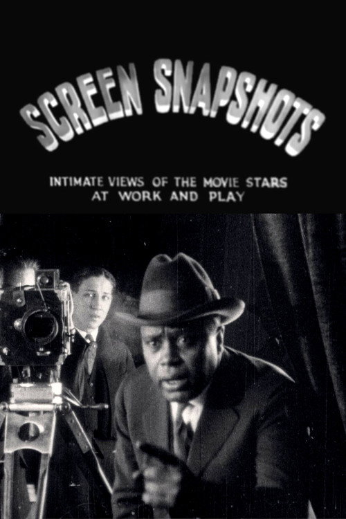 Movie poster for Screen Snapshots (Series 1, No. 7) (1920)