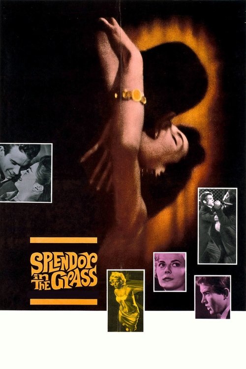 Movie poster for Splendor in the Grass (1961)
