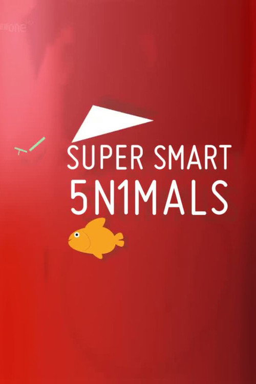 Super Smart Animals poster