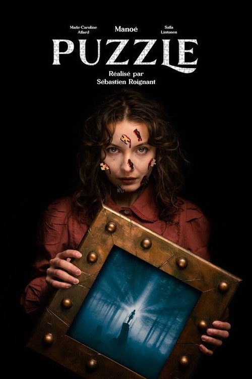 Movie poster for Puzzle (2024)