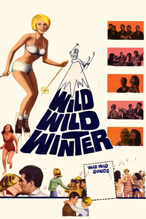 Movie poster for Wild, Wild Winter (1966)
