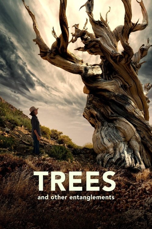 Movie poster for Trees and Other Entanglements (2023)