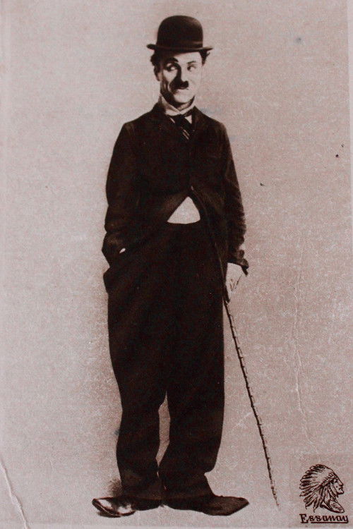 Movie poster for Charlie Chaplin: The Long Year at Essanay (2017)