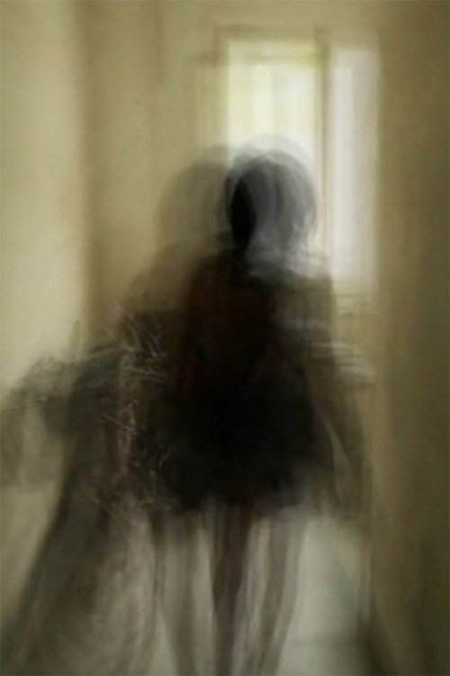 Movie poster for Descending a Staircase (2013)