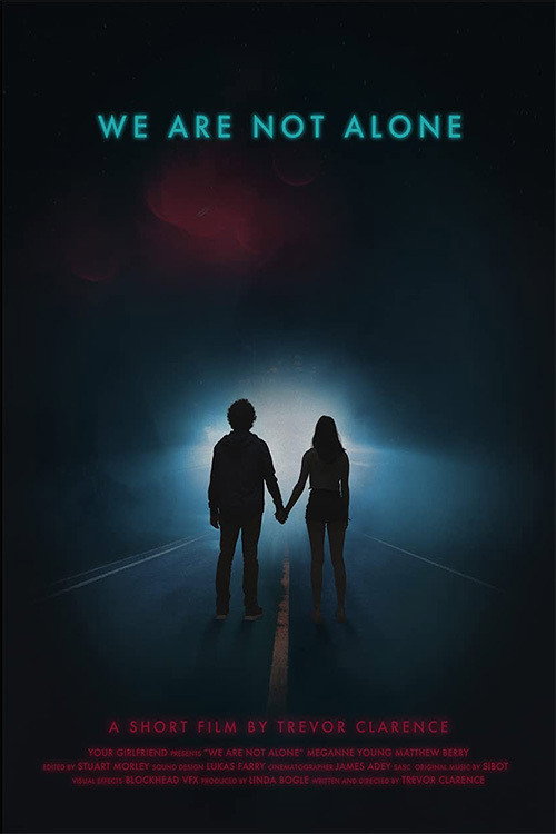 Movie poster for We Are Not Alone (2019)