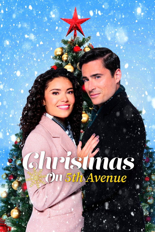 Movie poster for Christmas on 5th Avenue (2021)