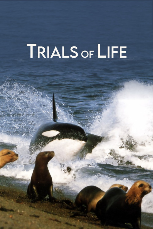 Trials of Life poster