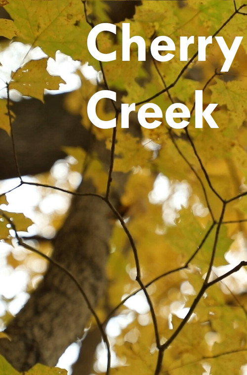 Movie poster for Cherry Creek (2025)
