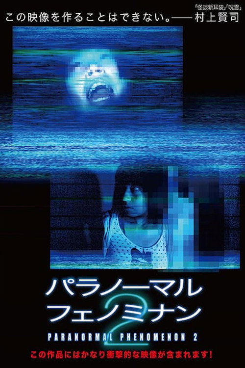 Movie poster for Paranormal Phenomenon 2 (2010)