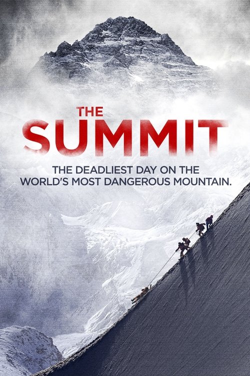 Movie poster for The Summit (2013)