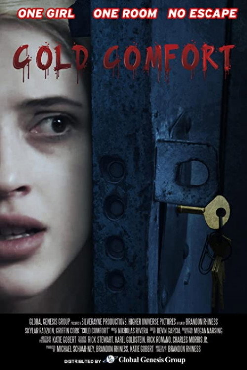 Movie poster for The Project (2021)