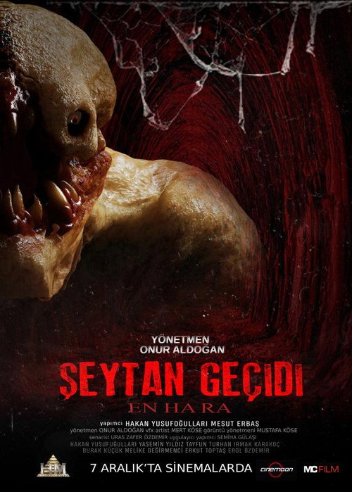 Movie poster for Şeytan Geçidi Enhara (2018)