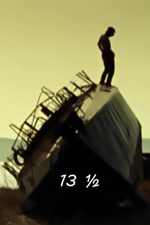 Movie poster for 13½ (2010)