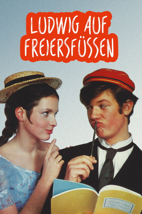 Movie poster for Ludwig on the Lookout for a Wife (1969)
