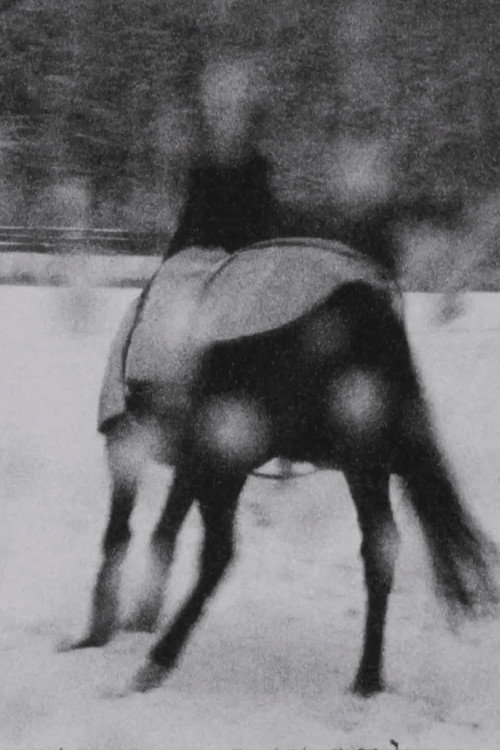 Movie poster for Im Schnee (2001)