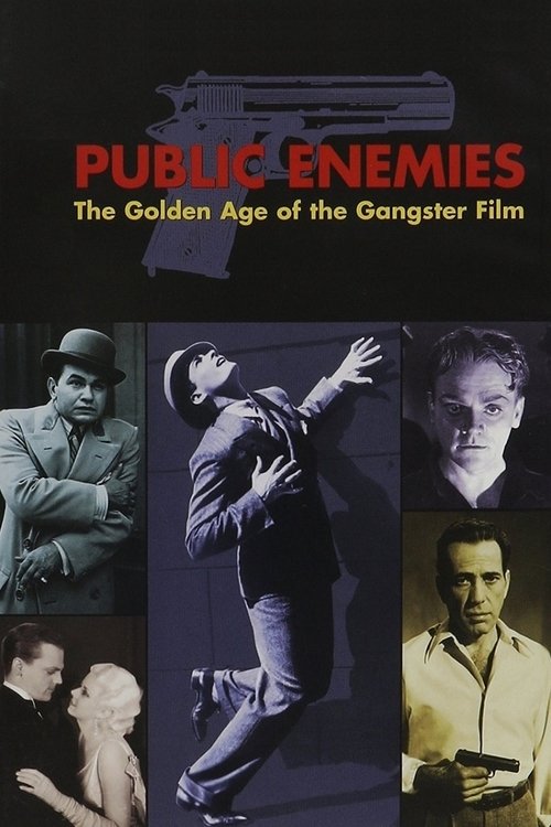 Movie poster for Public Enemies: The Golden Age of the Gangster Film (2008)