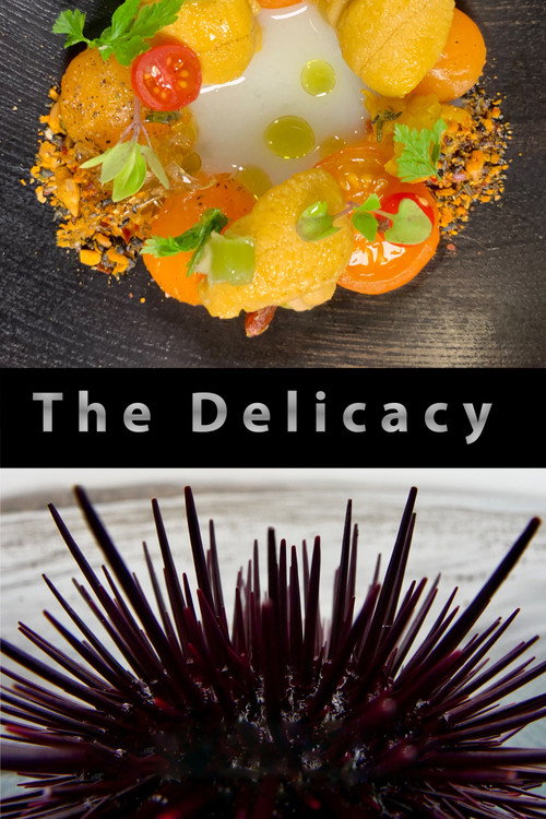 Movie poster for The Delicacy (2020)